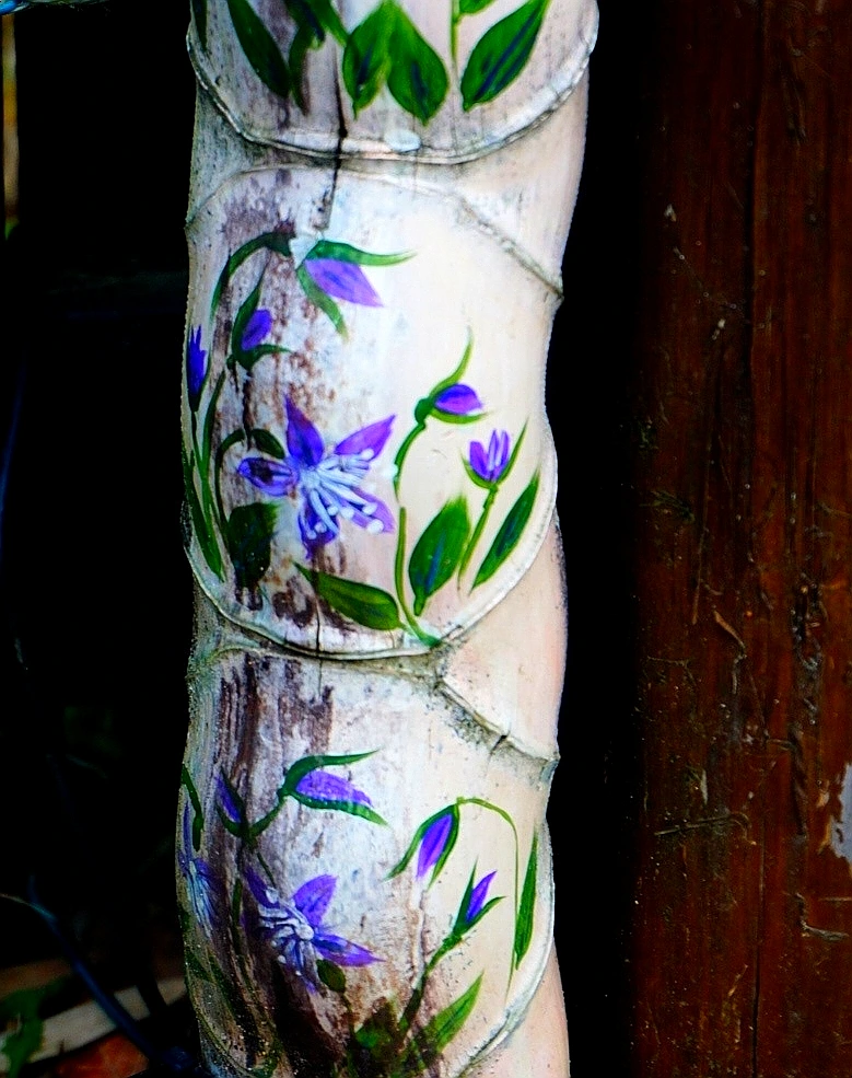 SE-cefff1e3-0d47-48a0-aa6b-321063629f63.jpg?type=w1