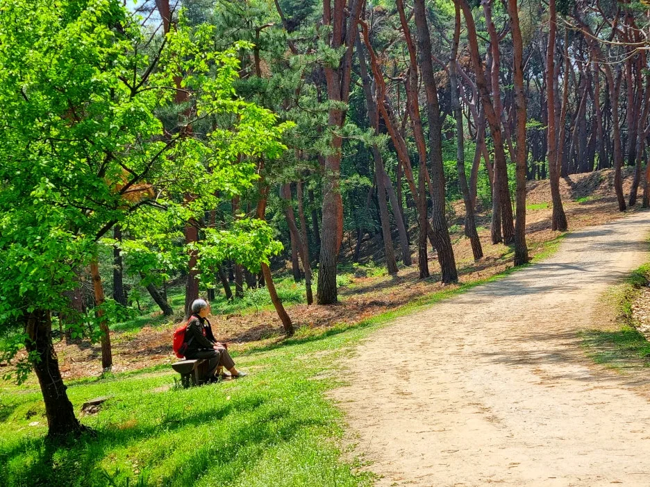 SE-ce543e23-3fba-4445-be96-90def7524c8c.jpg?type=w1