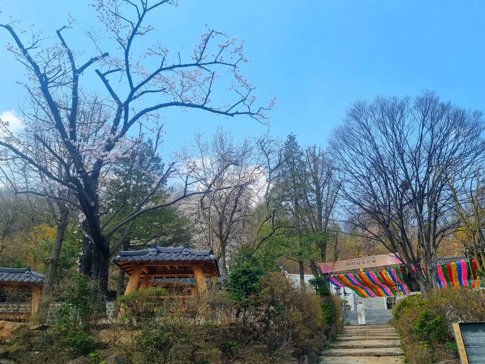 SE-ea624099-0f4e-4705-9fd0-d676e0ef18a9.jpg?type=w966