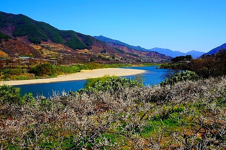 SE-8df8a340-e8af-45d6-ba59-912790f51f31.jpg?type=w1