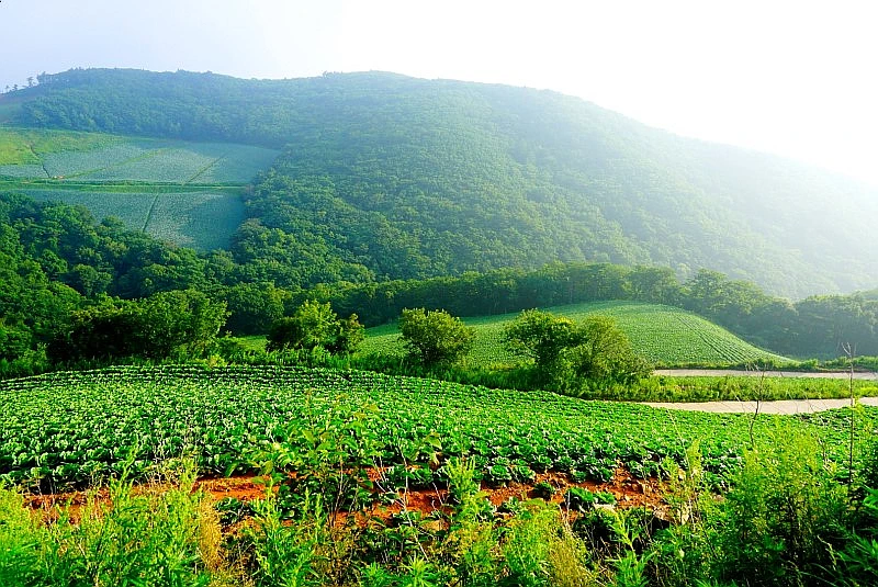 SE-03e307f3-9402-4b81-95cc-f7582f5bf2f4.jpg?type=w1