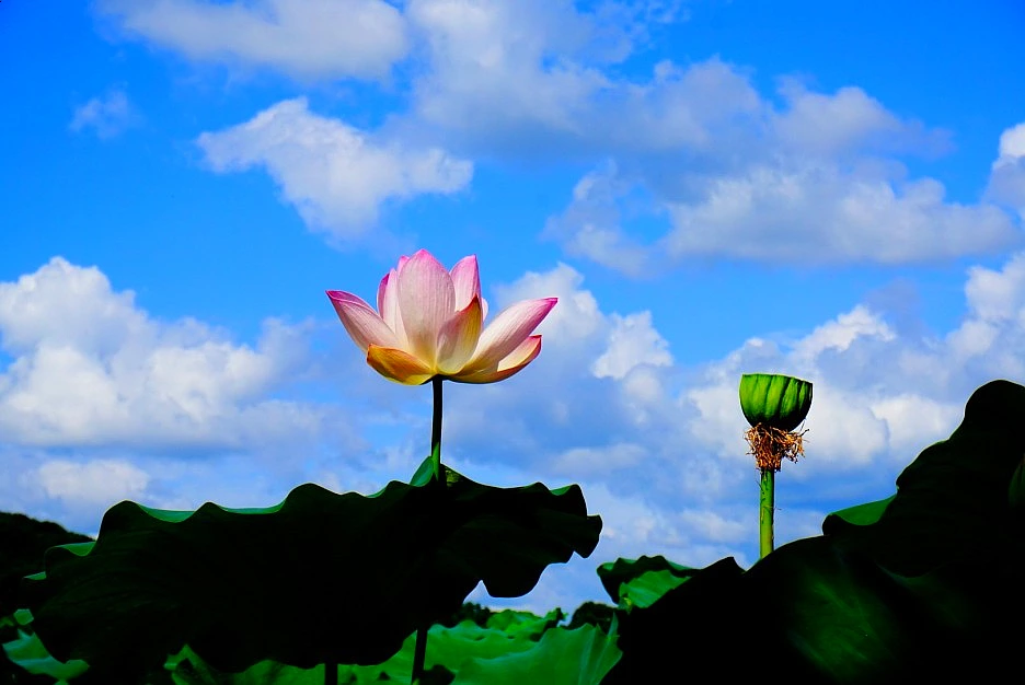 SE-b032d26d-3c87-4602-bd0f-74b16a77a348.jpg?type=w1