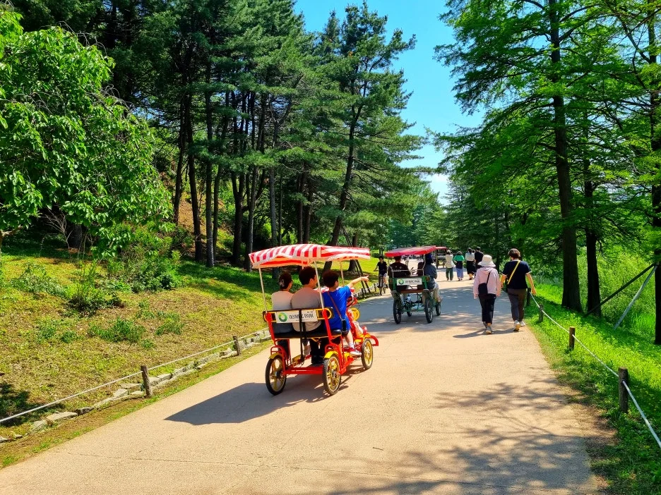 SE-d9c825d3-6eb4-4451-9aa2-9d0f1bdf4483.jpg?type=w1