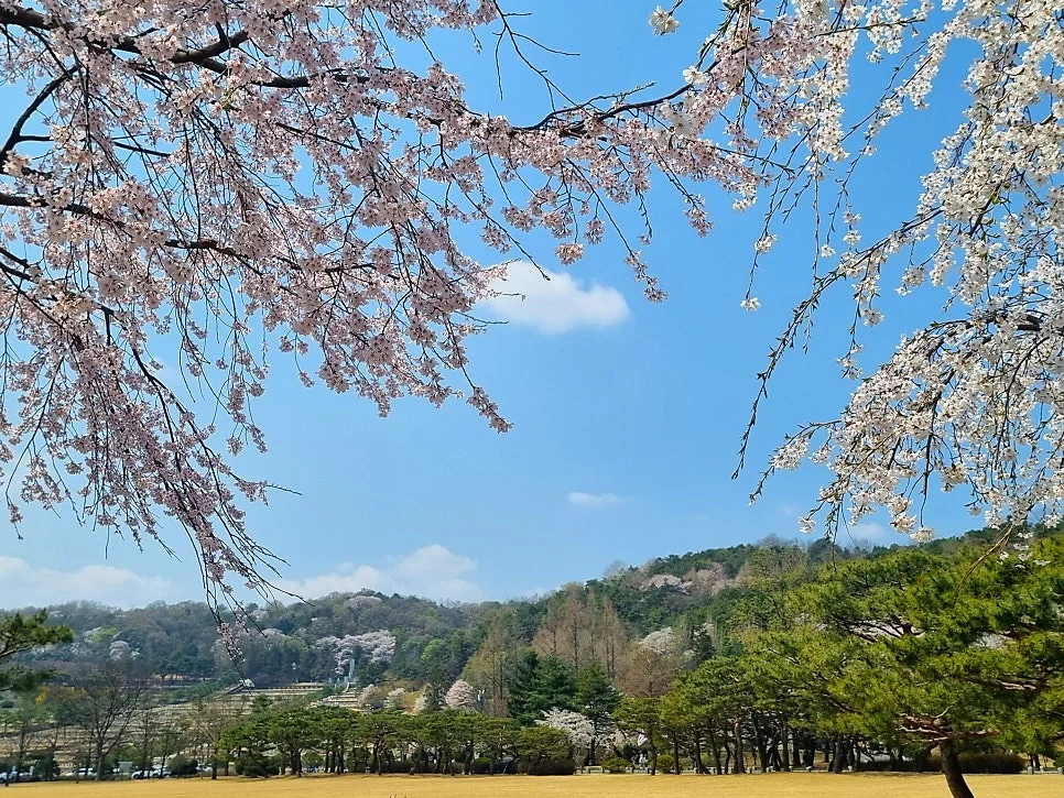 SE-fd4a17ea-56f2-4333-9189-b5c2c361b6ff.jpg?type=w966