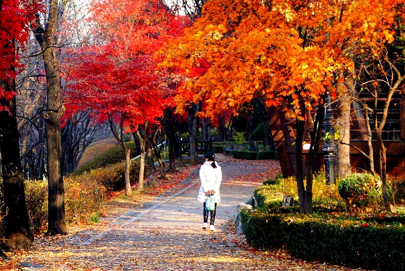 SE-e0bc14e0-338b-45d9-9b10-2a3b7c02c830.jpg?type=w1