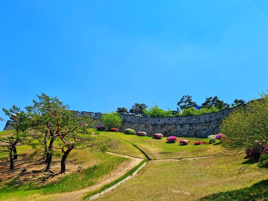 SE-7b552212-579c-4243-b796-faeef453c337.jpg?type=w1