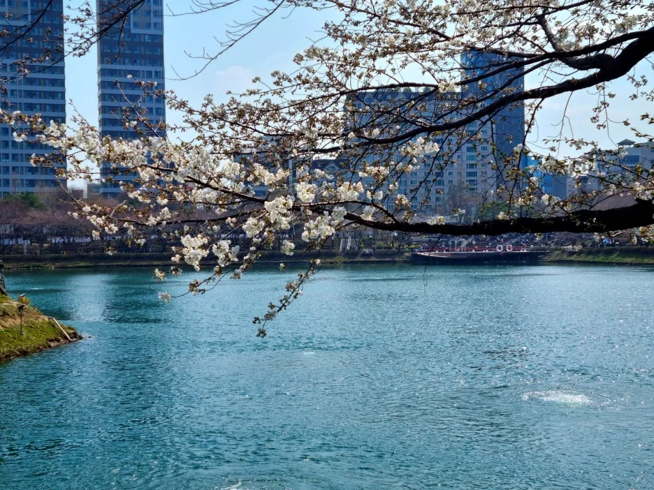 SE-d0559bdd-bdc0-4568-8d88-72a4bdf7f864.jpg?type=w1