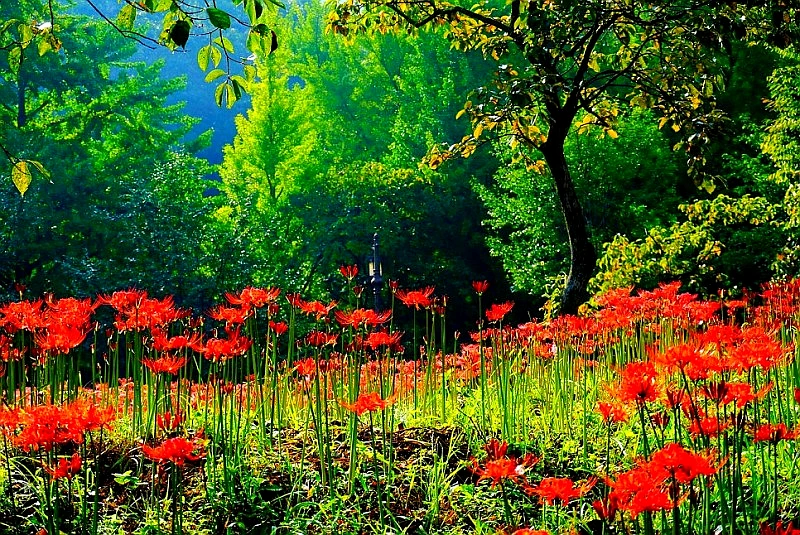 SE-e69c540c-415c-4027-827c-6d6a4bef598e.jpg?type=w1