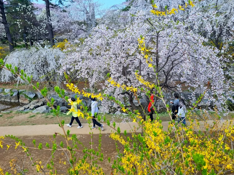 SE-cefcb13e-96a1-4726-8086-93a9a1085a58.jpg?type=w966