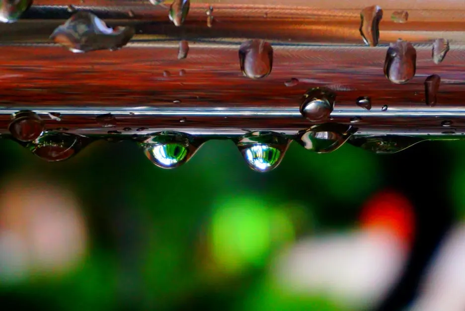 SE-7847d20b-dad3-4310-9f94-53e6424a9bb1.jpg?type=w1