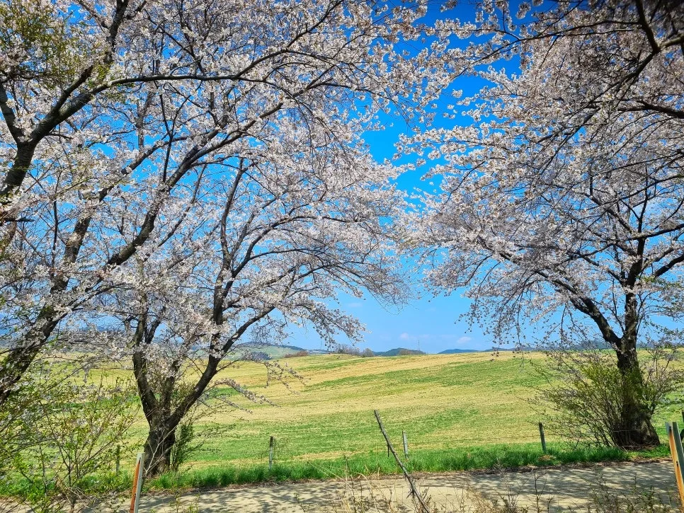 SE-0a86580a-a918-4d12-9ed6-420bb1e20d42.jpg?type=w966