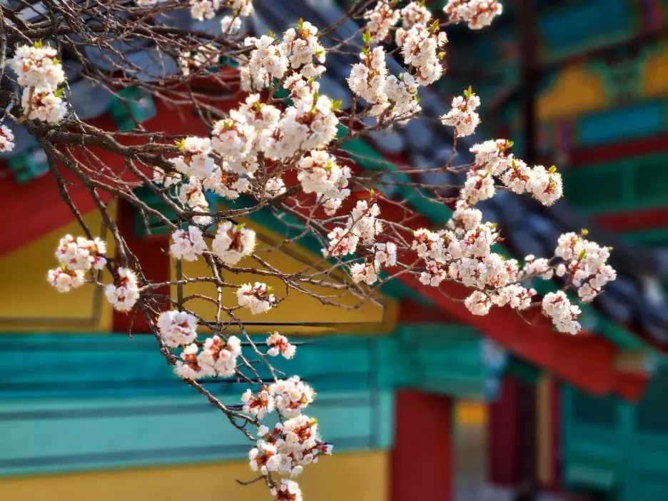 SE-21ab254e-ff62-4dd9-a0c9-ee5f84600551.jpg?type=w1