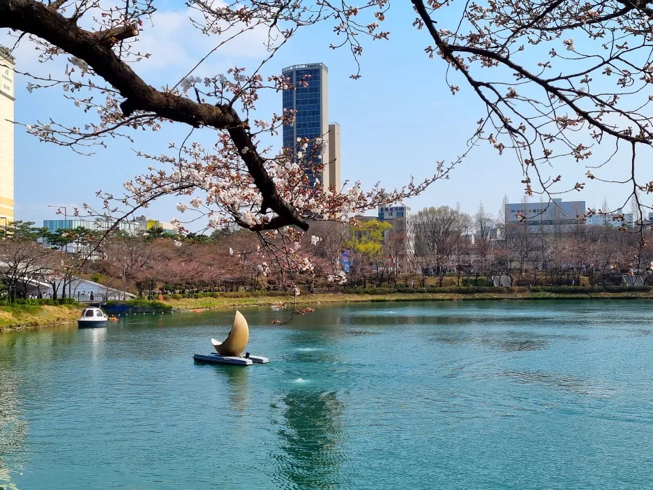 SE-39ffd1e0-ad8f-4a72-b7f6-aa873d3c4201.jpg?type=w1