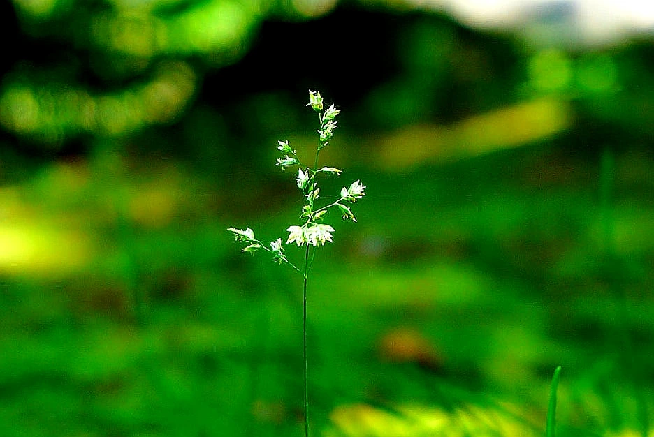 SE-7e335953-b6c1-4e4b-be80-c7133f18ddb6.jpg?type=w1