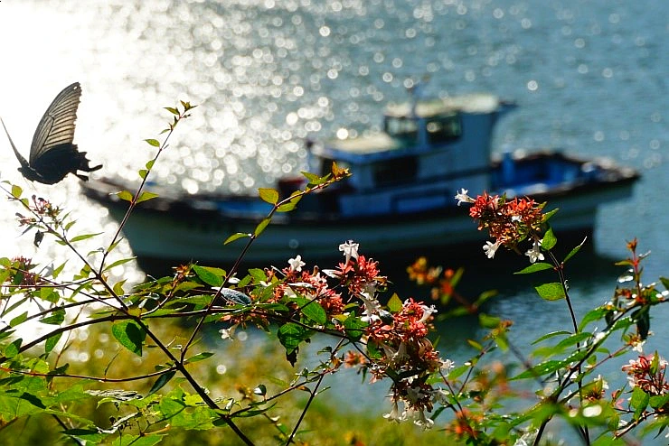 SE-ca7cdc97-942c-48fa-87f2-06d25f0e0183.jpg?type=w1