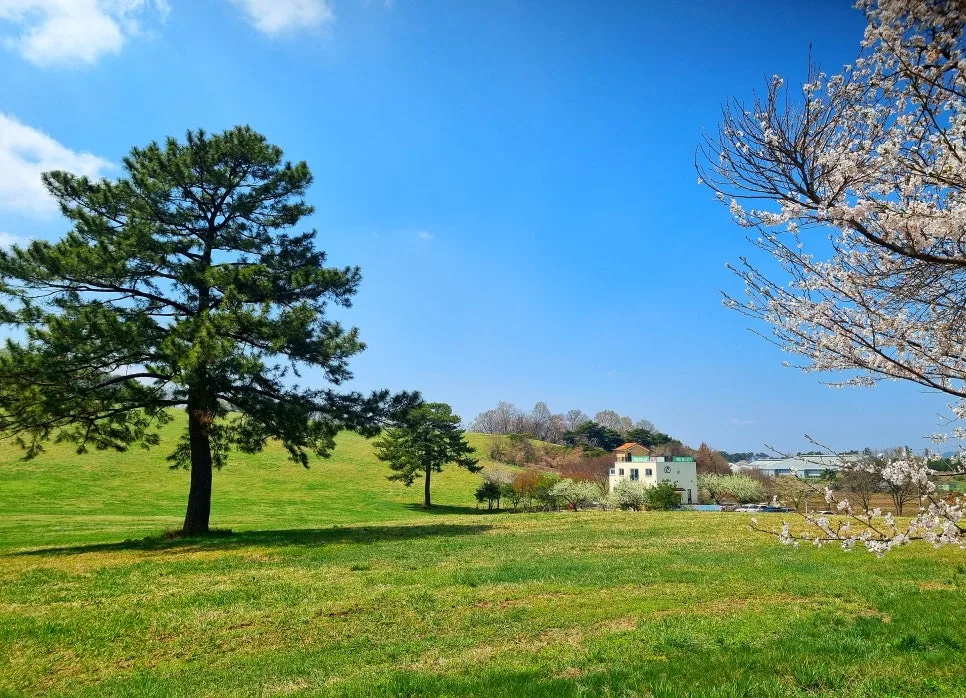 SE-a2a716a0-b698-4c7f-8b0b-9e6bb86deaa5.jpg?type=w966