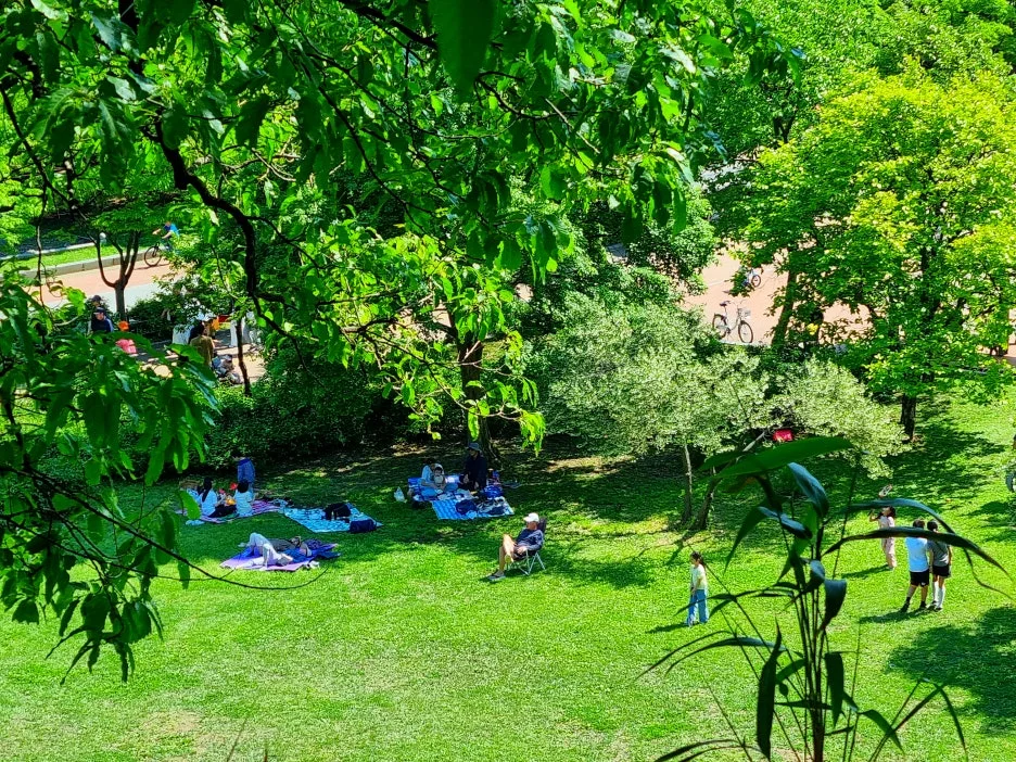 SE-9c2d737f-8b2a-4f59-a8cf-3ca80bd08d64.jpg?type=w1