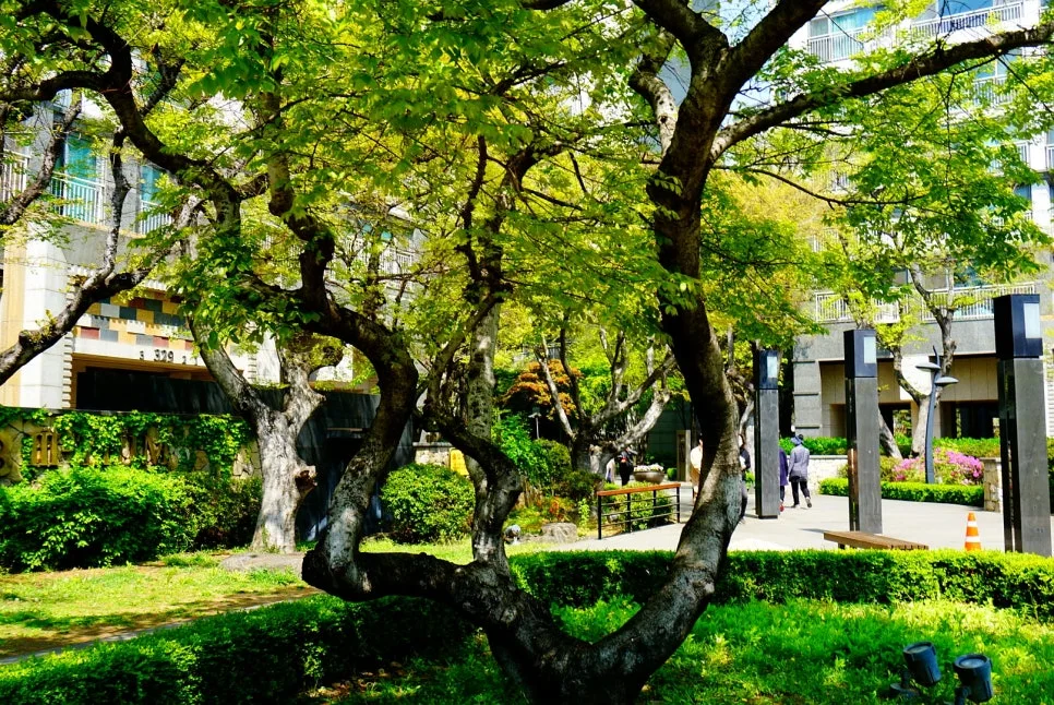 SE-a09e1589-a712-446d-809f-f3b8c0dc789c.jpg?type=w966