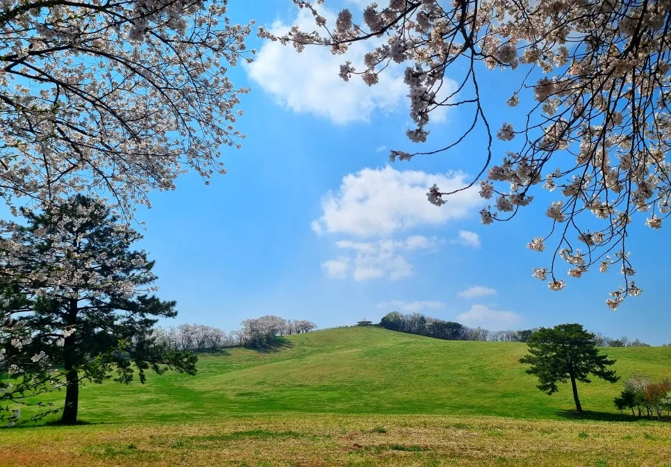 SE-b6a5d782-4f5e-4160-a479-efcf35f8f635.jpg?type=w966