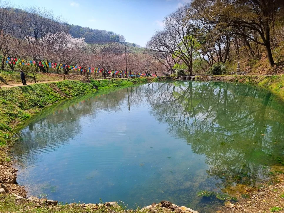 SE-fb4b54ad-bc34-4d01-b56f-3f8bd3cfa19a.jpg?type=w966