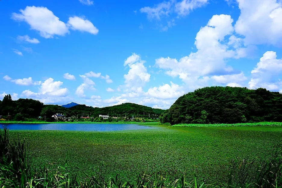 SE-21939c82-acb5-4b47-a557-d061fe346afc.jpg?type=w1