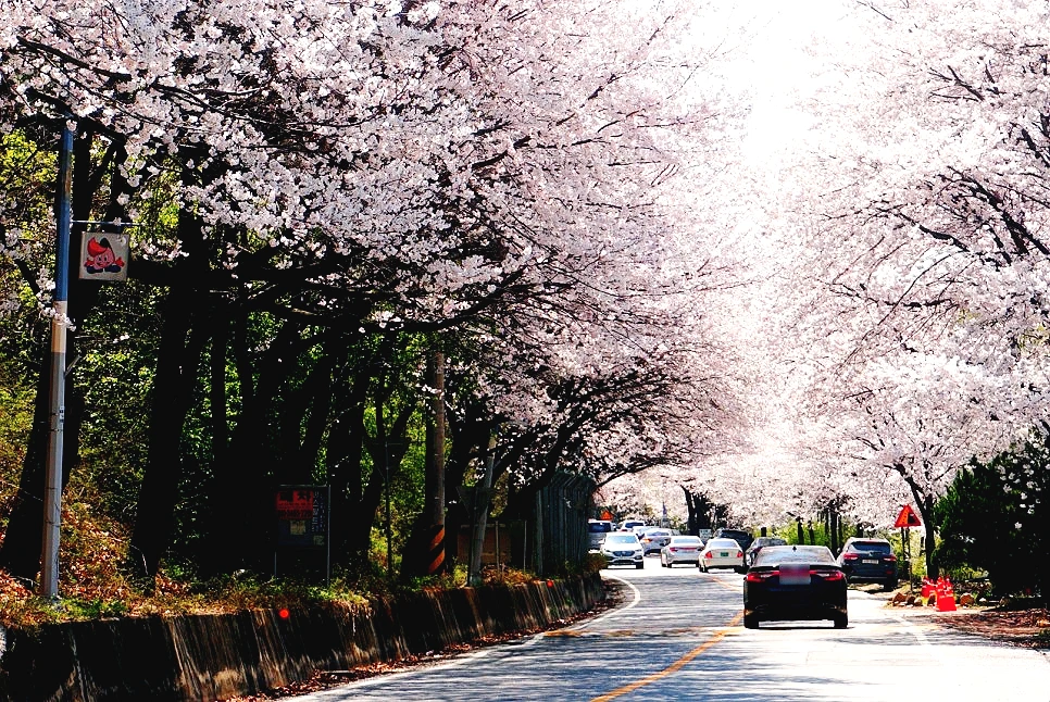 SE-759fea3b-05c2-4b09-9d35-b0cabe145f56.jpg?type=w966