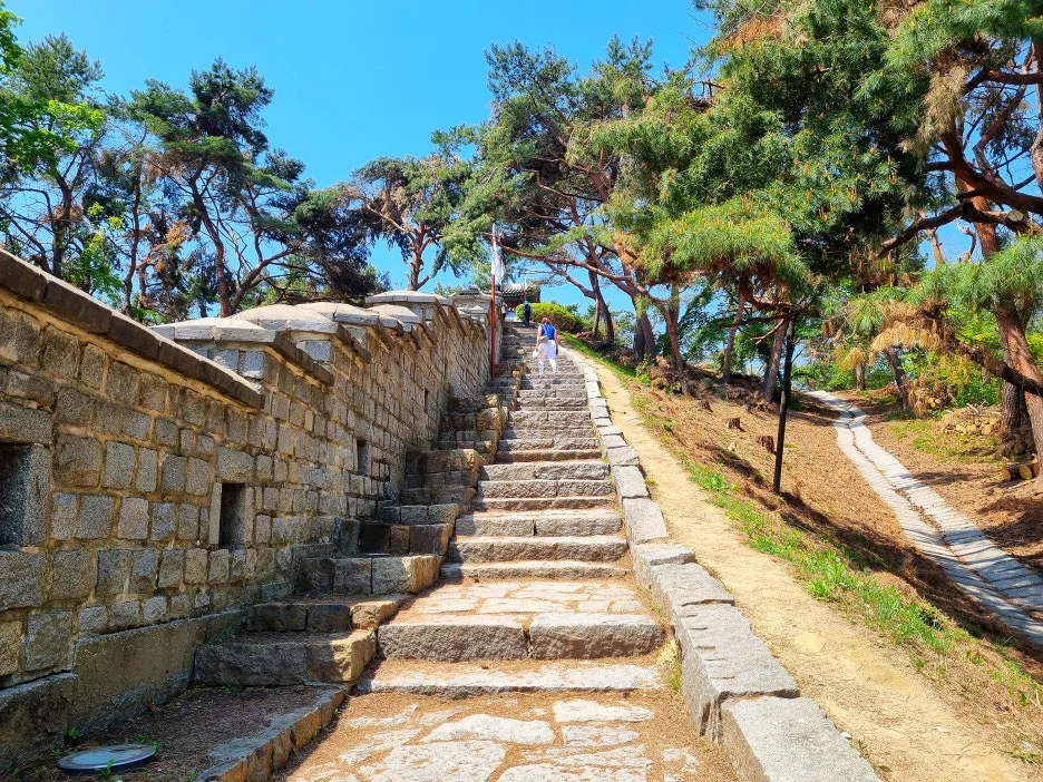 SE-0873dc11-f8f7-413c-8542-39d2b090b920.jpg?type=w1