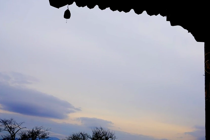 SE-d06081e4-2b6c-438d-b3d8-572e3645325b.jpg?type=w966