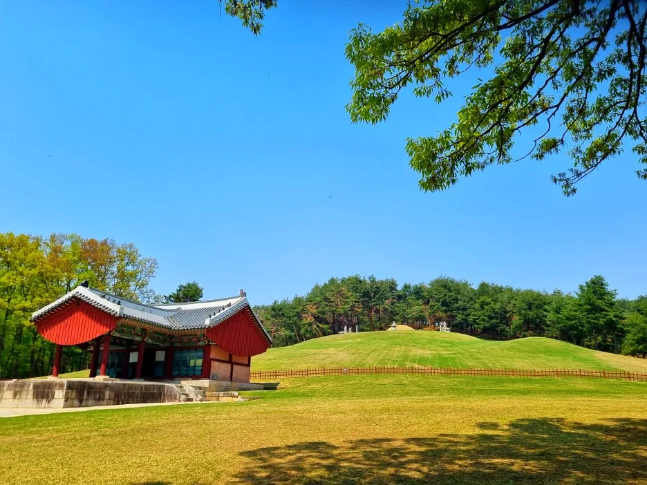 SE-23e257a5-ab6c-49ab-9d82-2efef67164f9.jpg?type=w1