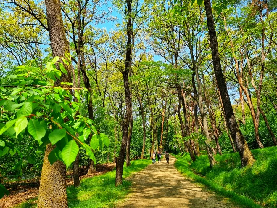 SE-1398cfa9-3531-40c9-a989-2d915cda5be0.jpg?type=w1