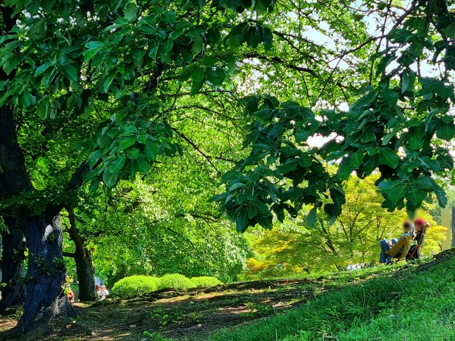 SE-b454d9c4-b323-4bff-819b-f80223becb64.jpg?type=w1