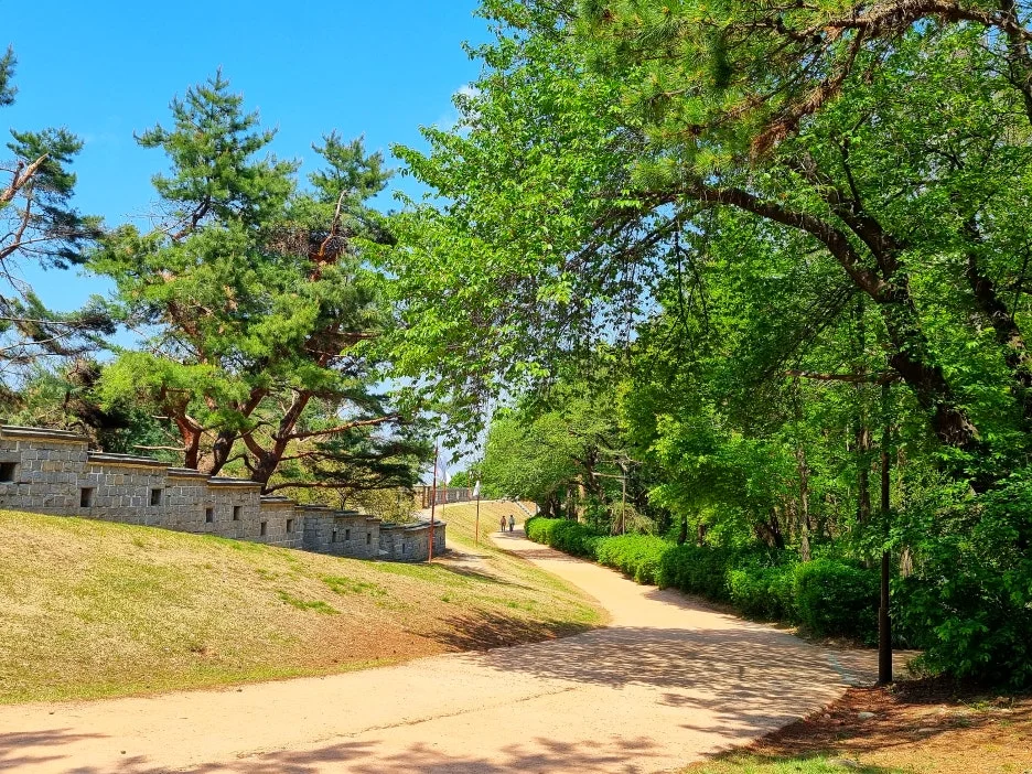 SE-9c65e3d1-a2fd-4f51-a7eb-1f1f3154db3e.jpg?type=w1