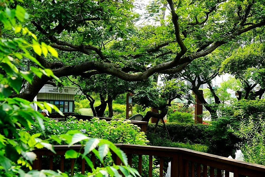 SE-9f0efbc5-1135-4a2e-a9b4-77db11f22b92.jpg?type=w966