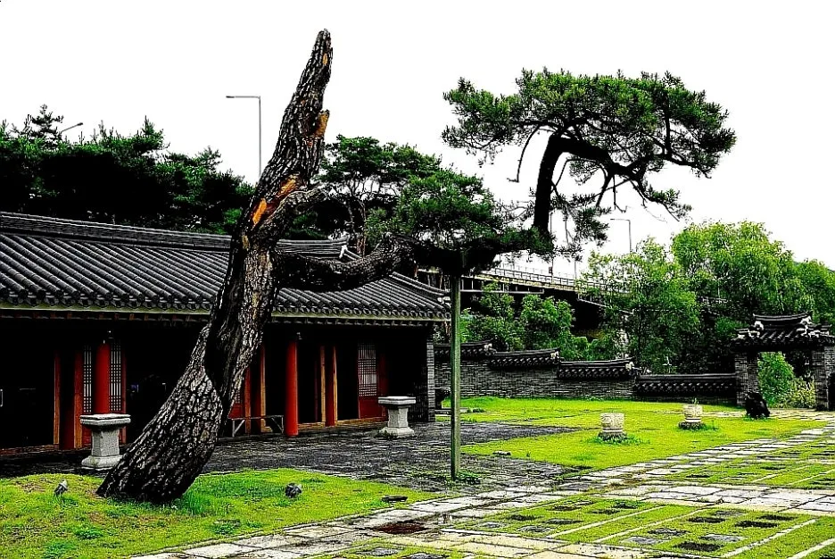 SE-1783aa26-6829-4ee0-99fe-744320d98820.jpg?type=w1