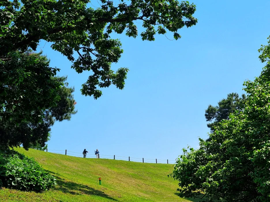 SE-48733794-223a-4d7a-8404-39cddf8afdef.jpg?type=w1