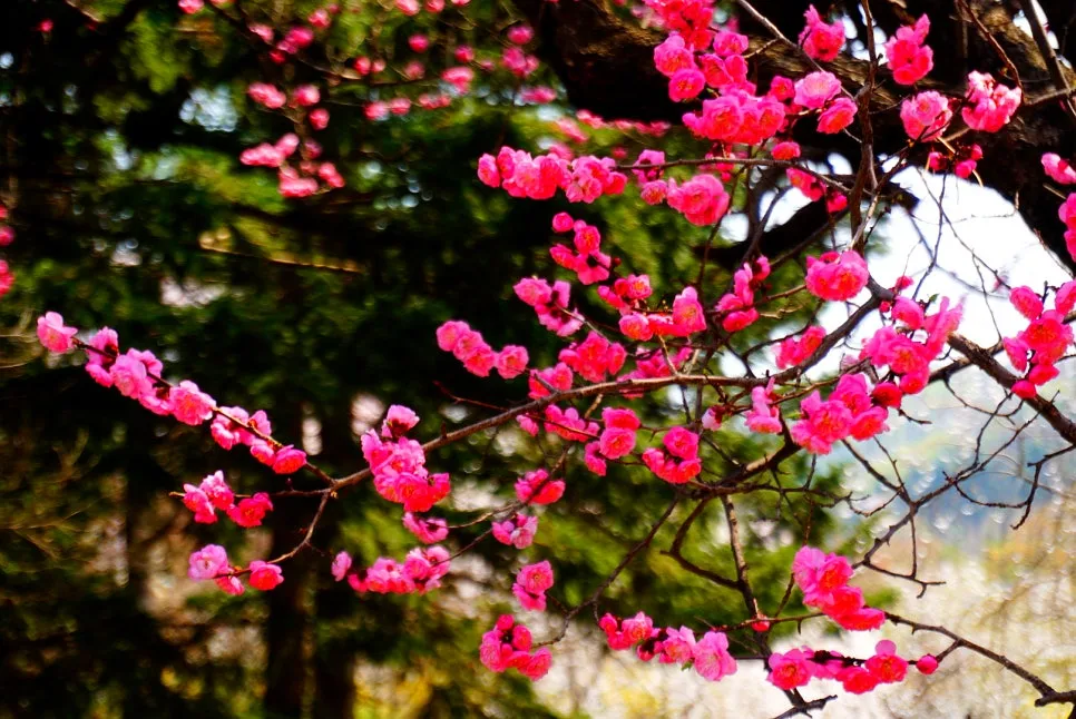 SE-1e7e7927-22ea-47e3-bfb7-ffc9a4a9bbcd.jpg?type=w966