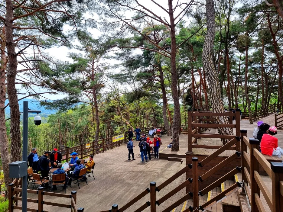 SE-ba885a20-cc19-4238-ad19-08937c204c25.jpg?type=w1