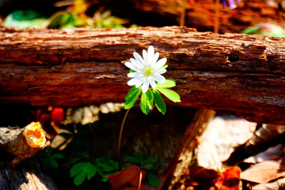 SE-6d6c7cc0-127e-4ac1-824d-6d3f1f2e65ad.jpg?type=w1