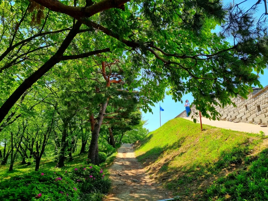 SE-c30002e8-94c7-46b5-9191-9afcc1b2f2f4.jpg?type=w1