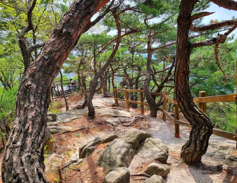 SE-f189657f-a449-434b-ad91-2629a505caec.jpg?type=w966