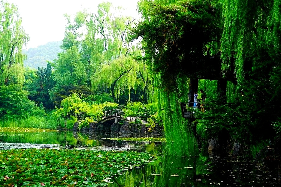 SE-559cc799-eda0-49d2-a5e9-6b2ca0c745e2.jpg?type=w1