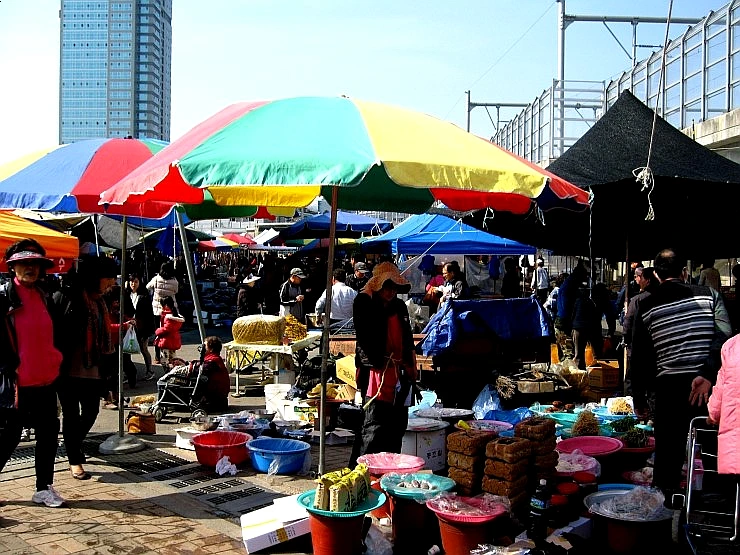 SE-09c498a9-7621-492b-95eb-224ff4e76d25.jpg?type=w1