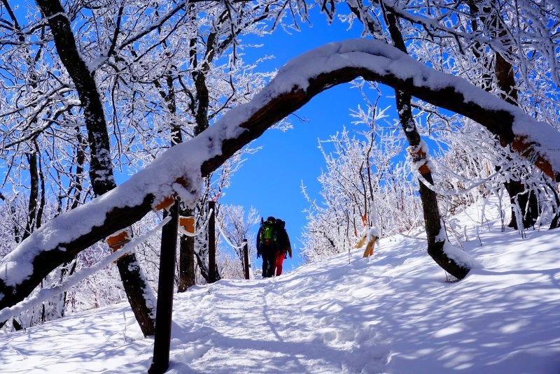 SE-86d96498-6929-49ff-8357-1a3bdccd5e6f.jpg?type=w1