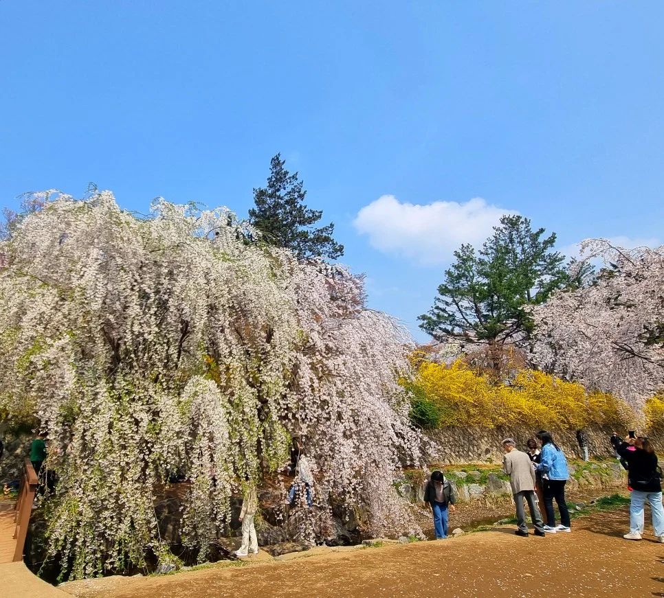 SE-449ba09a-2485-460b-8994-49d43df25468.jpg?type=w966