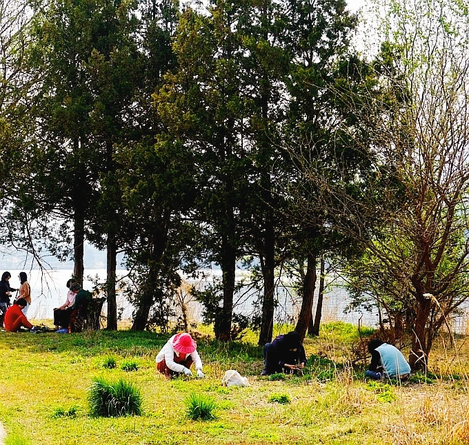 SE-59acd622-d104-4aff-a6f7-cf86af52ff85.jpg?type=w966