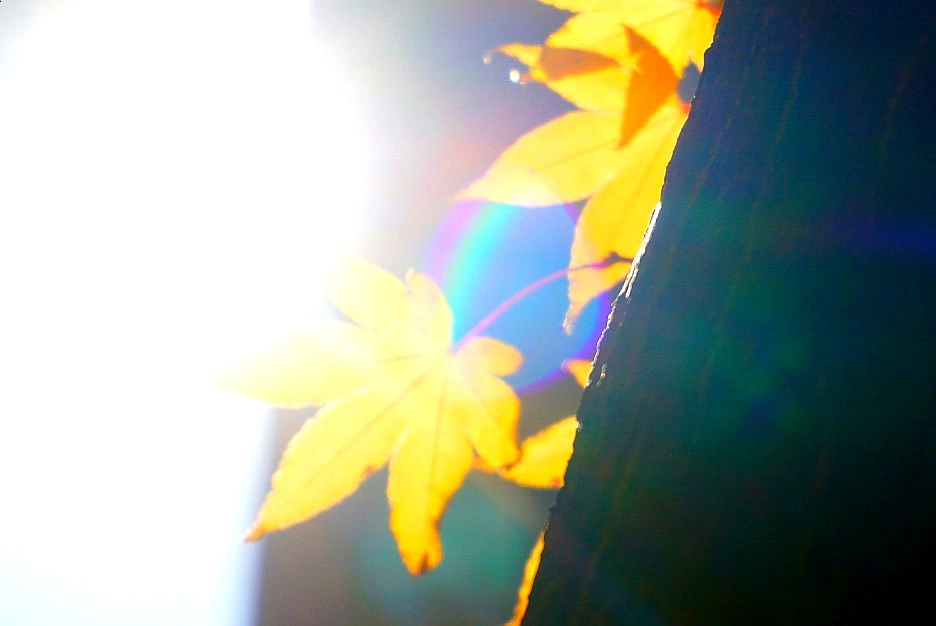 SE-975e54f2-3312-4f93-8eea-3912adc8b5a9.jpg?type=w1