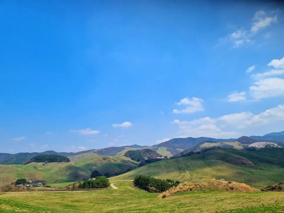 SE-bd6a187b-e49b-495f-86f6-86679f6c1dc1.jpg?type=w966