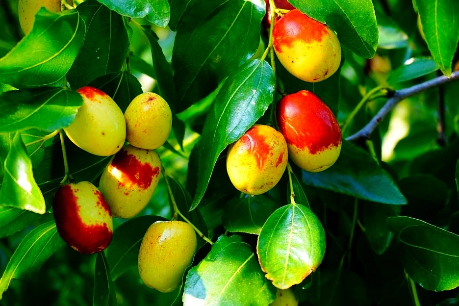 SE-7c15fbff-aa18-4fa5-b9a4-00d794c7ef87.jpg?type=w1