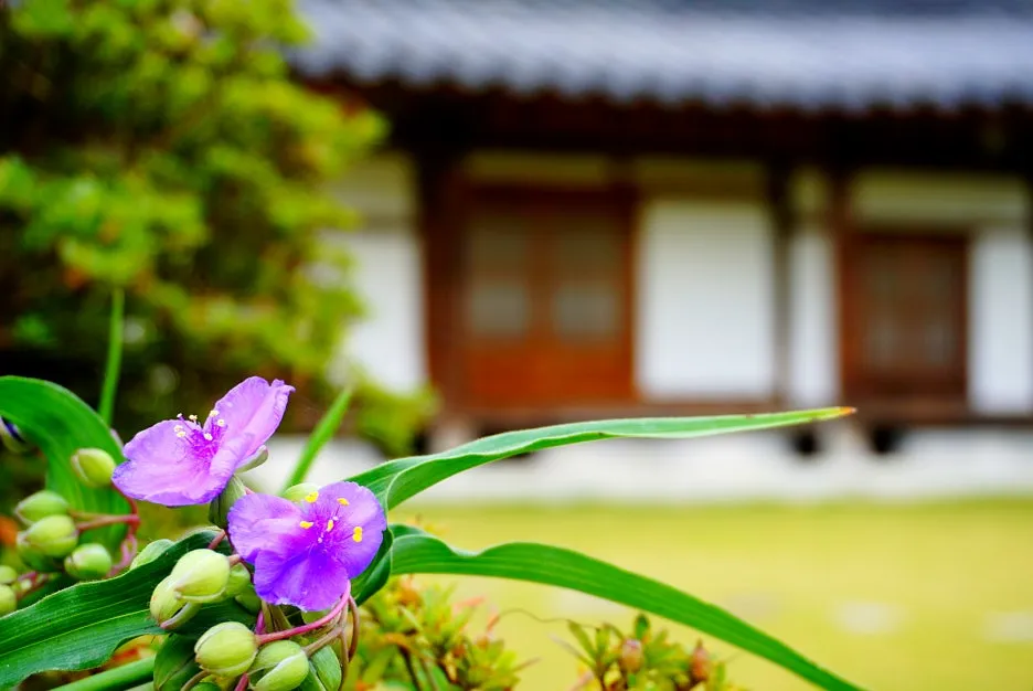 SE-13f0ba41-8a2d-475a-929d-5e12d44592d7.jpg?type=w1