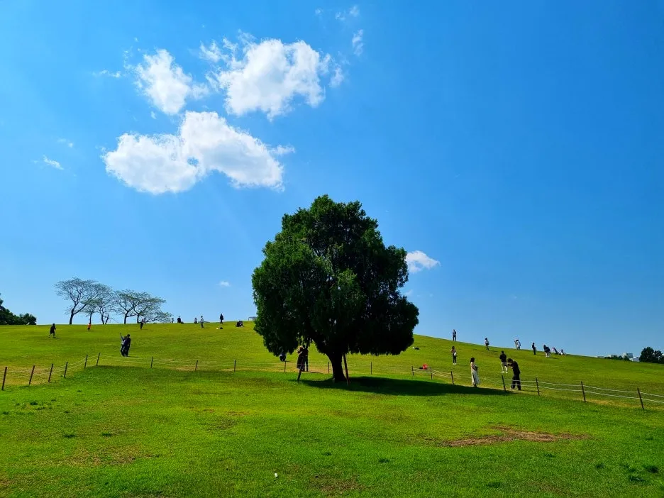 SE-b65f9c42-9b1f-4779-b9ba-20524162ad0e.jpg?type=w1